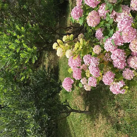 Capo Casale Maratea