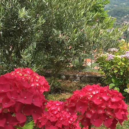 Hotel Capo Casale